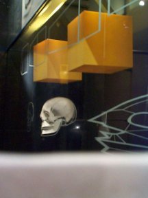 Skull anamorphosis 1 from peephole